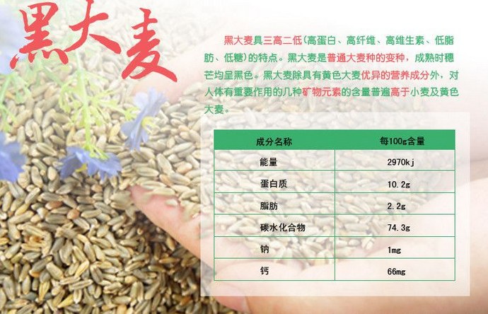 富硒大麦 (1).png
